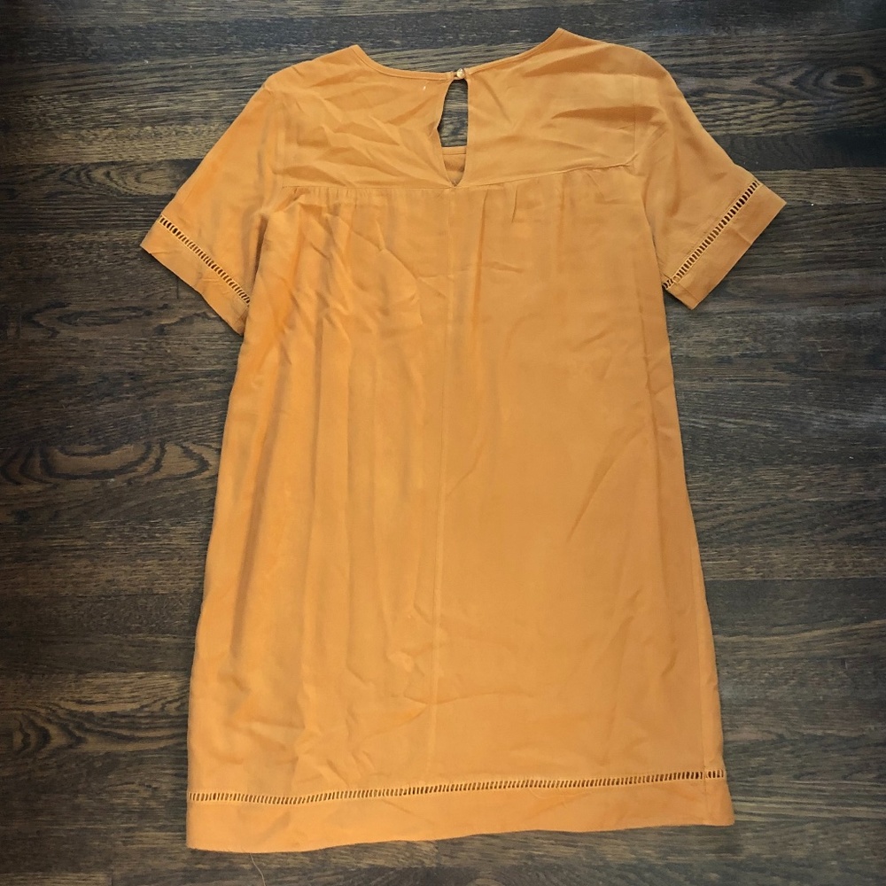 Beautiful Fall Dress - Picture 2 of 2